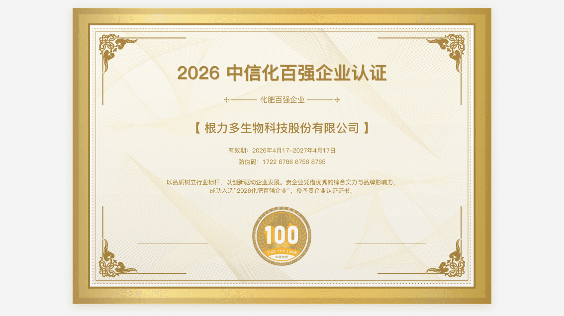 企业认证证书